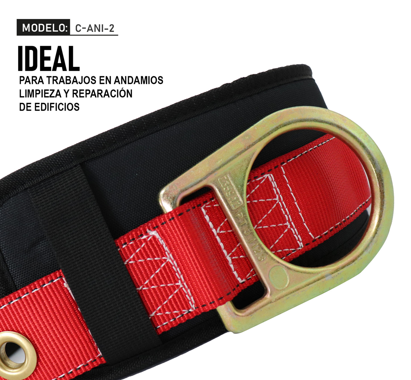 Cinturón anticaídas con respaldo mod. C-ANI-2 marca LICA